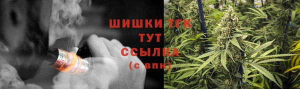 трава Нефтекумск