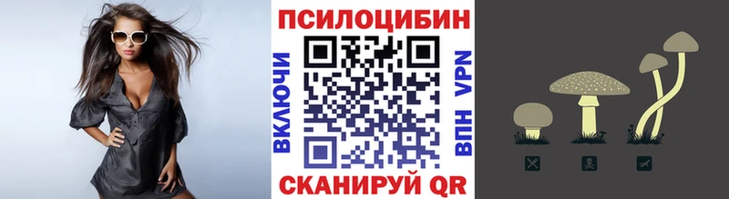 наркошоп  Холмск  Псилоцибиновые грибы MAGIC MUSHROOMS 